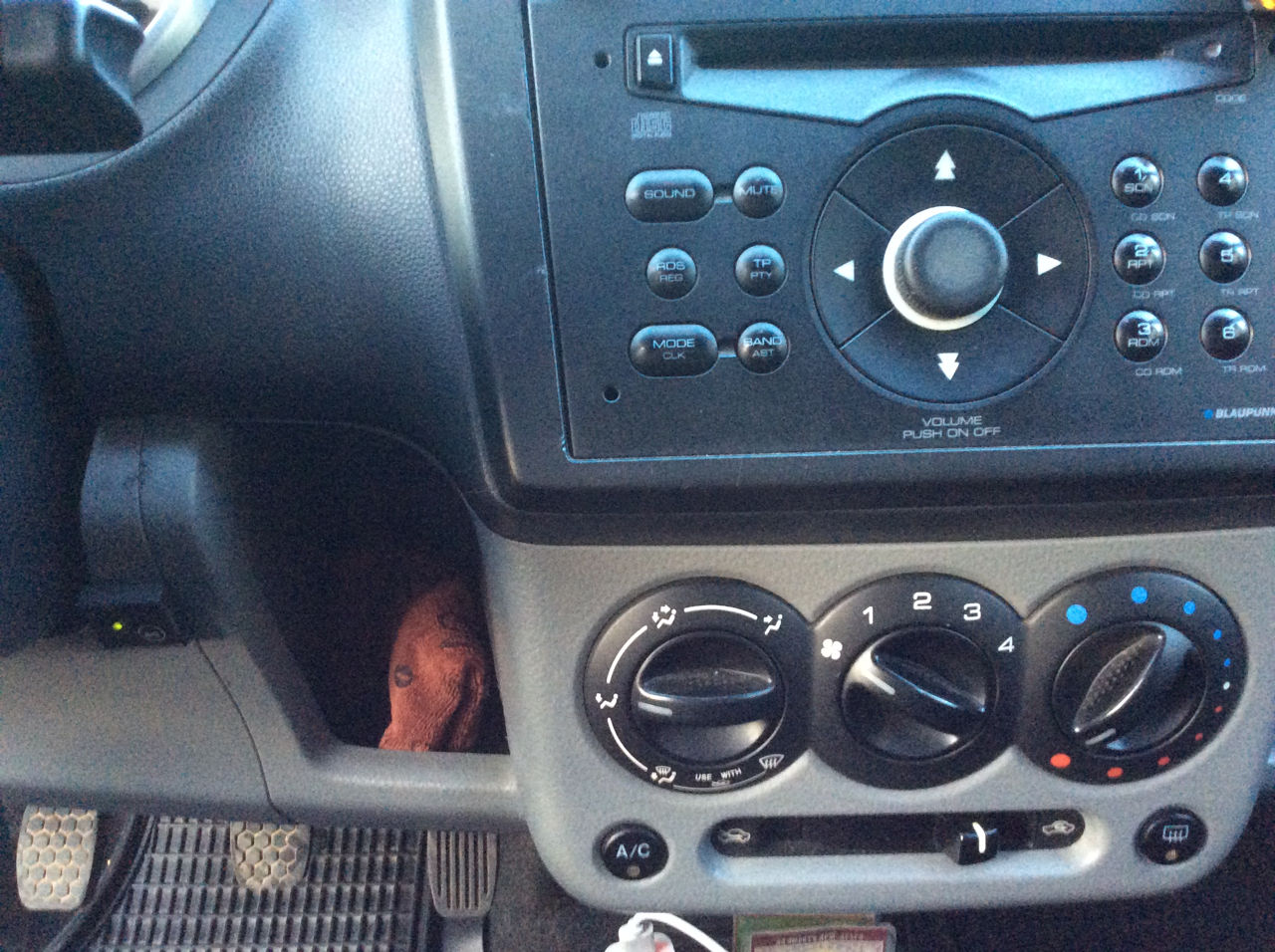 Suzuki Ignis foto 3