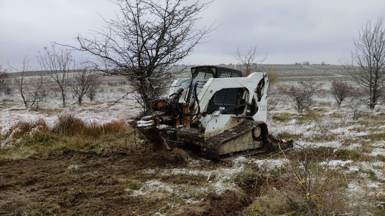 Bobcat, defrișare terenurilor agricole. bobcat foto 2