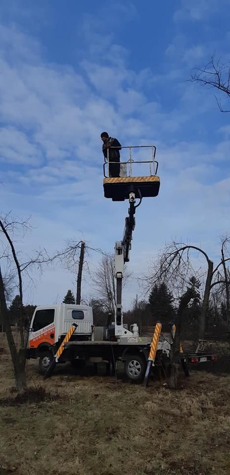 Tăierea copacilor înclinați sau deteriorați- cu masini si echipamente speciale .Calitatea garantată foto 5