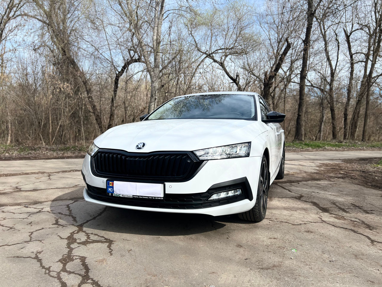 Skoda Octavia фото 1