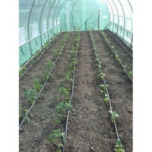 Sera 12x3x2m/polietilenă armată 180g/m/теплица/двери 2/livrarea gratuita in toata tara/6850 lei foto 5