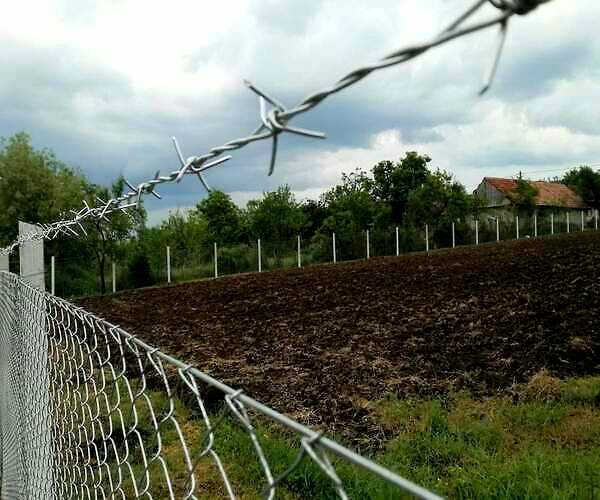 Sirma ghimpata tip Nato.Garduri metalice. foto 7