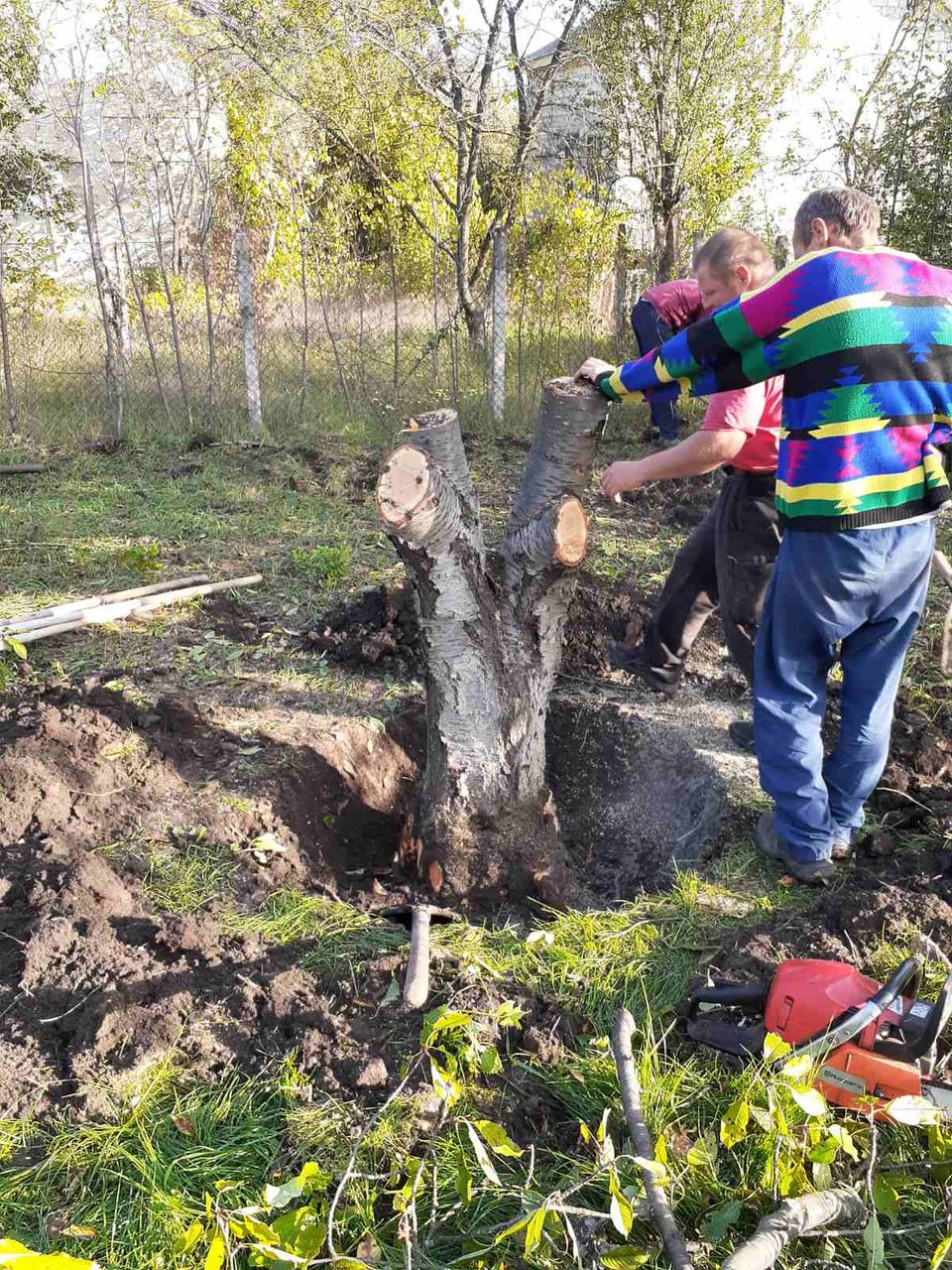 Facem curat in gradina linga casă curat la vila foto 4