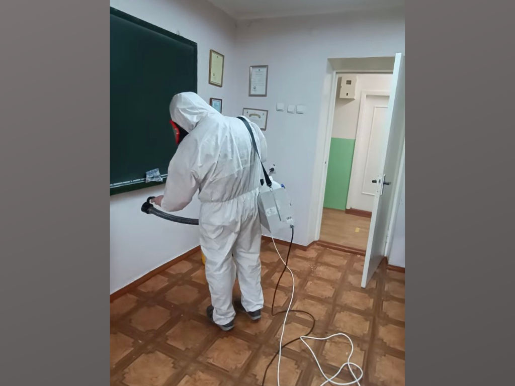 Servicii de dezinfecție gindaci de bucatarie(taracani), ploșnițe, purici, furnici  foto 3