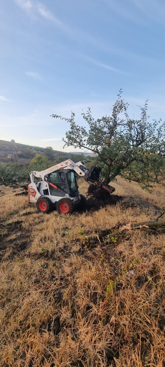 Bobcat excavator basculante gama de intrumente foto 4