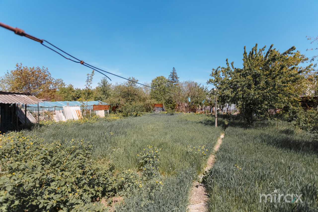 str. Mihail Frunze, Cricova, mun. Chișinău foto 12