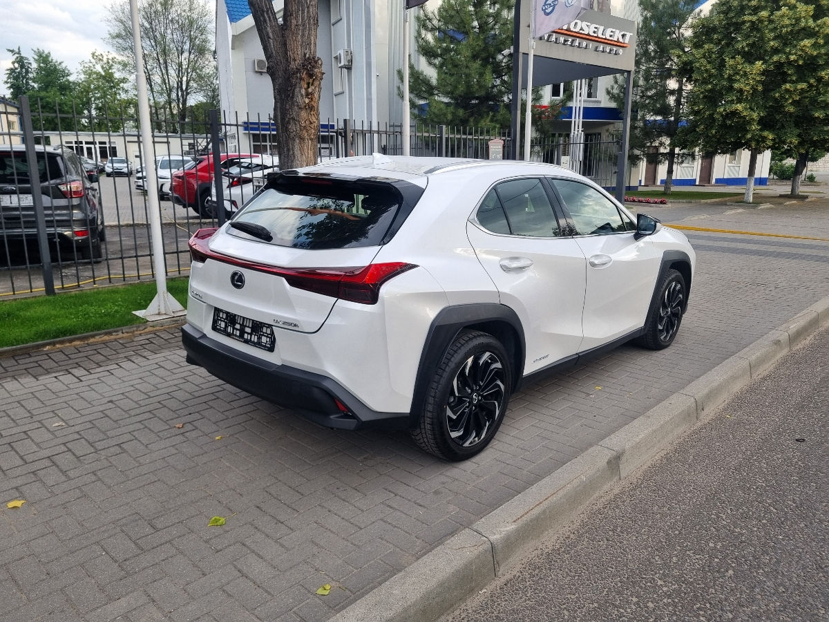 Lexus UX 2021 photo 5