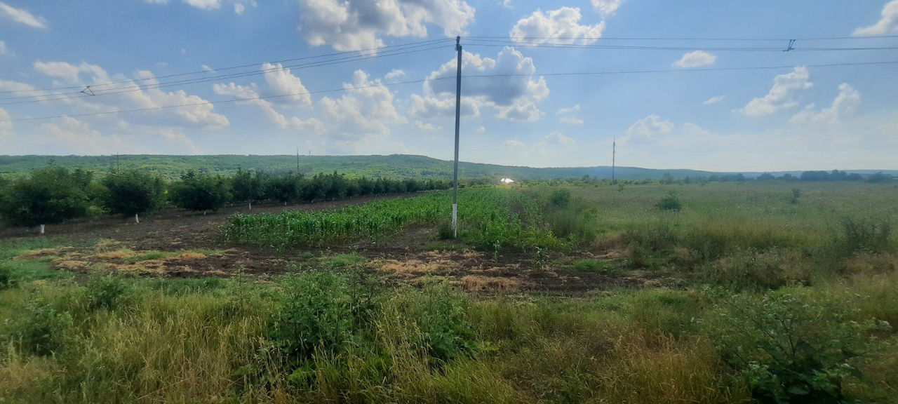 1 ari la traseu, 15 metri iesire spre traseu, 143 m în adîncime, acces de pe 2 drumuri, cu gaz, apă  foto 8