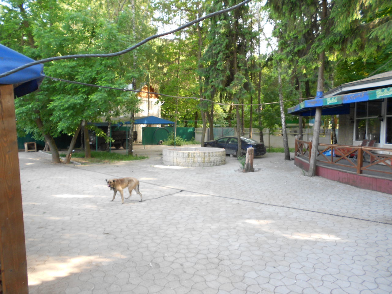 парк Вадул-луй-Водэ, Первая линия, свой берег, кап строение. foto 2