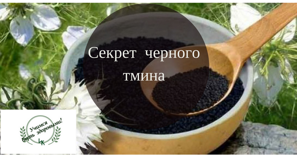 Тмин вред для мужчин. Черный тмин. Семена черного тмина. Чёрный тмин лечебные. Семена чёрного тмина польза.
