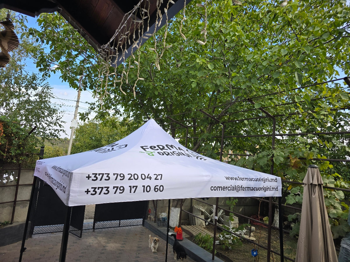 Торговые палатки, все размеры и цвета фото 8