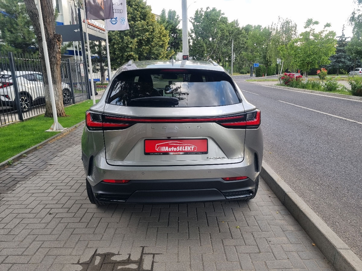 Lexus NX Series 2022 photo 6