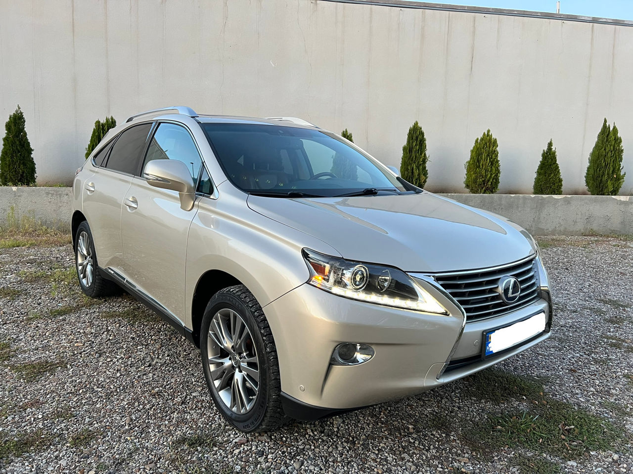Lexus RX Series фото 1