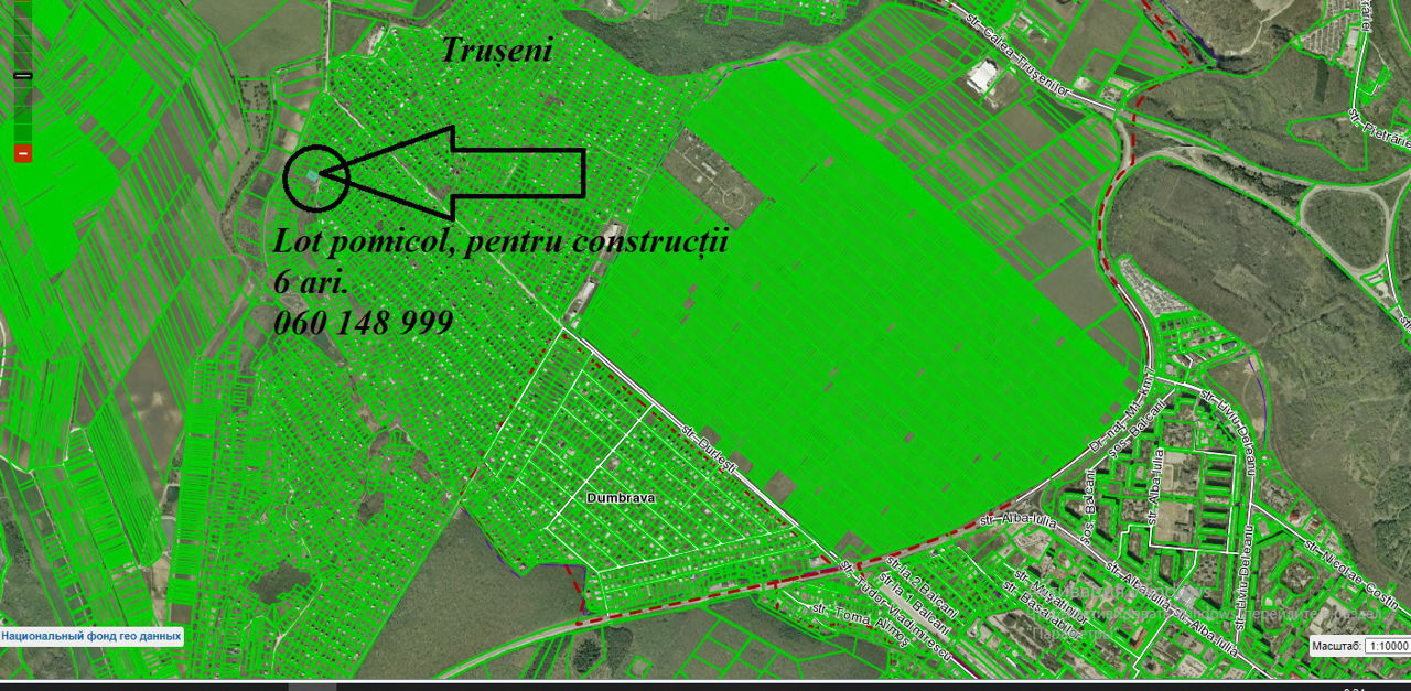 Teren, lot pomicol, 6 ari! Trușeni! Zonă de vile! Posibil schimb pe masina foto 2