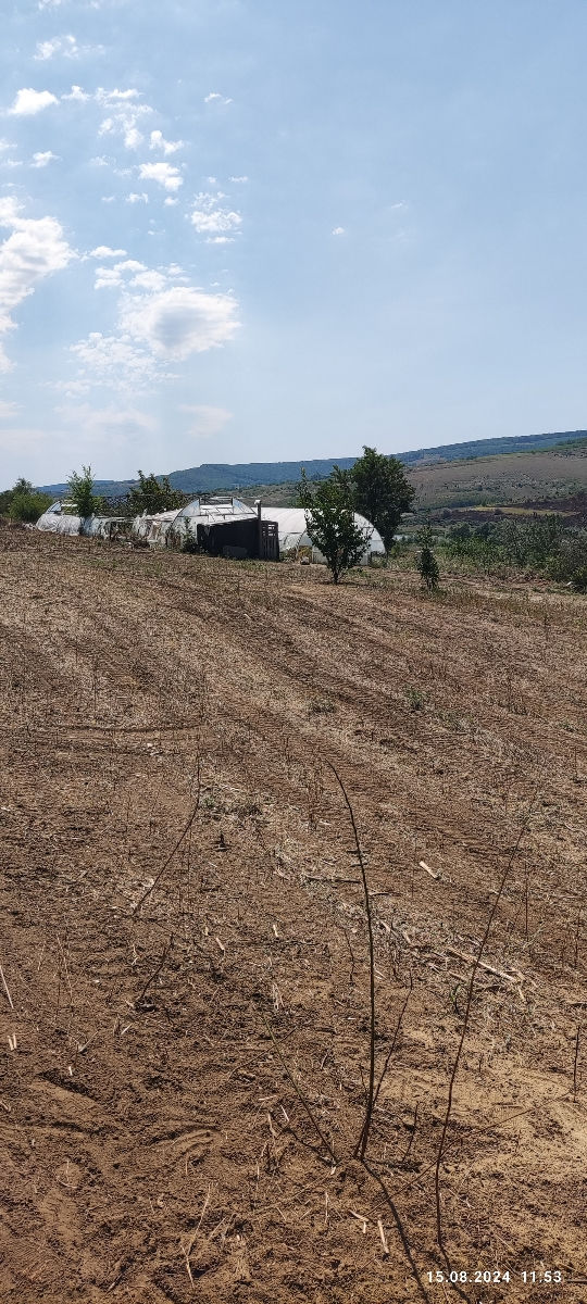 Vând afacere cu sere la cheie in laloveni,
s.Suruceni. foto 6