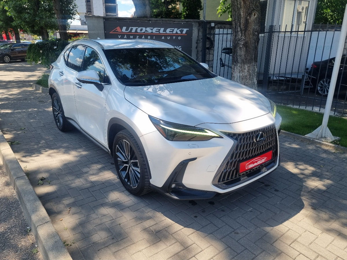 Lexus NX Series 2022 photo 3