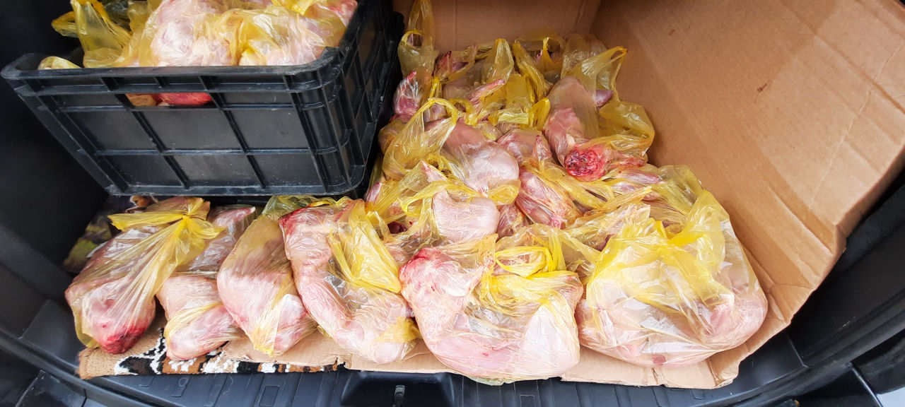 Carne de iepure, cantități mari livrăm și în Chișinău,140 lei/kg, foto 3