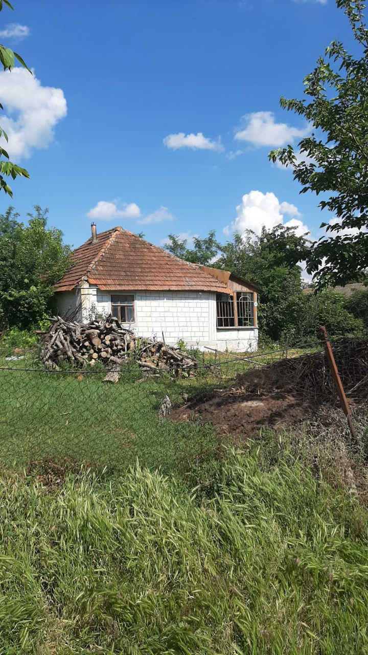 Lot pentru construcții 25 ari cu casa și beci în Berezlogi, Orhei фото 8