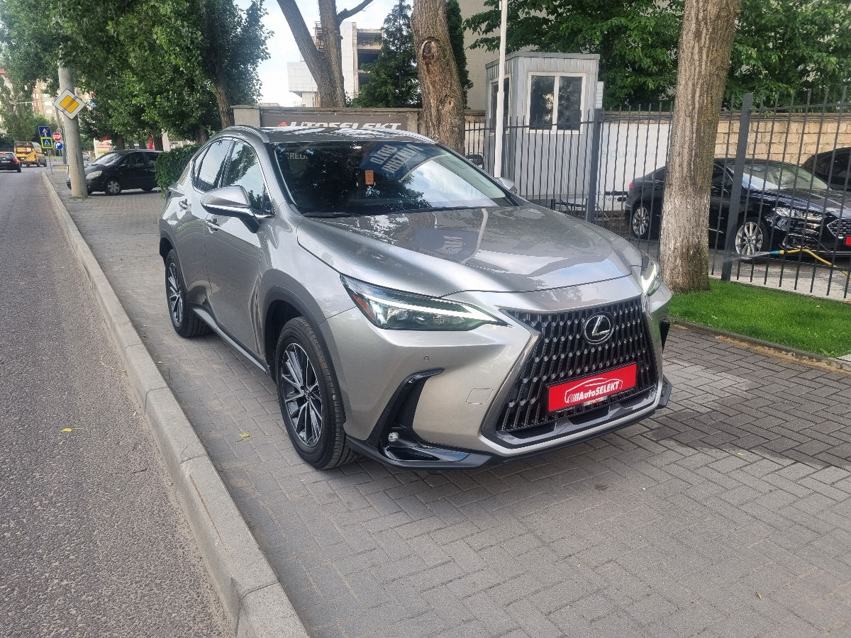 Lexus NX Series 2022 photo 3