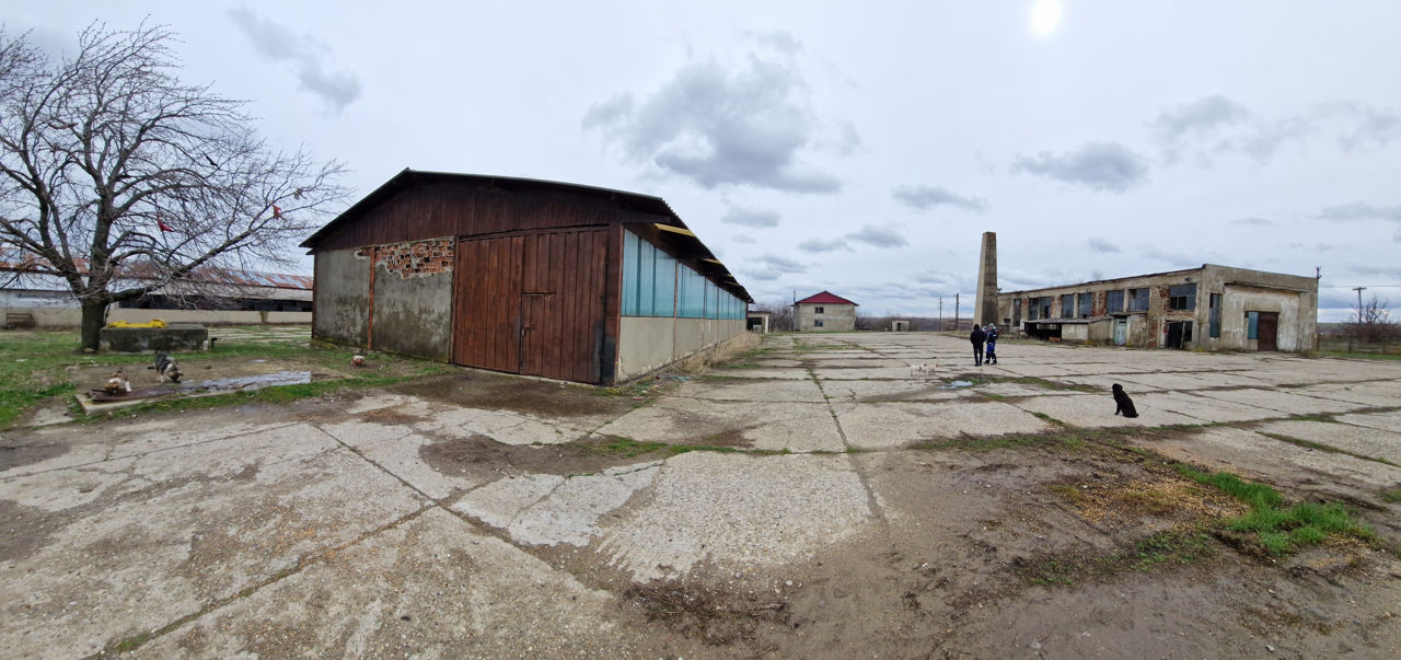 Ferma de pesti Romania foto 3