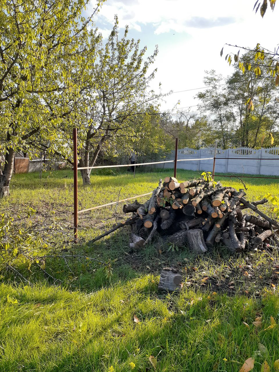 Уборка запущенных участков. Curățarea terenurilor. Вывоз мусора foto 1