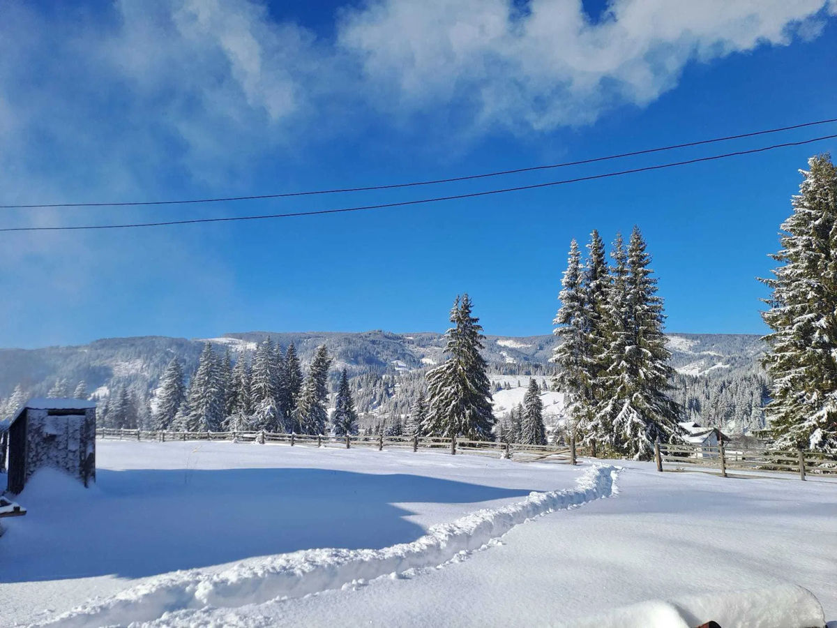 Teren pentru construcție în Vatra Dornei la munte foto 7