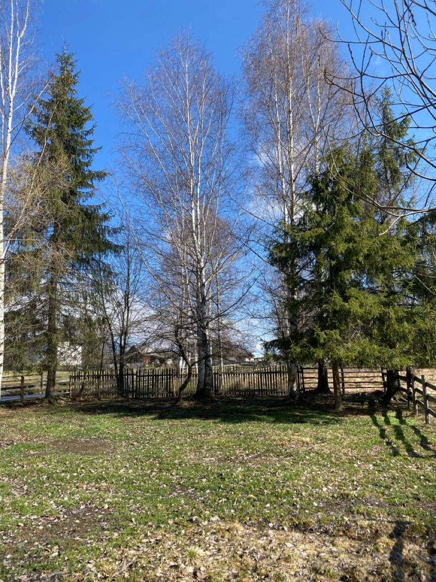 Teren pentru construcție în Vatra Dornei la munte foto 6