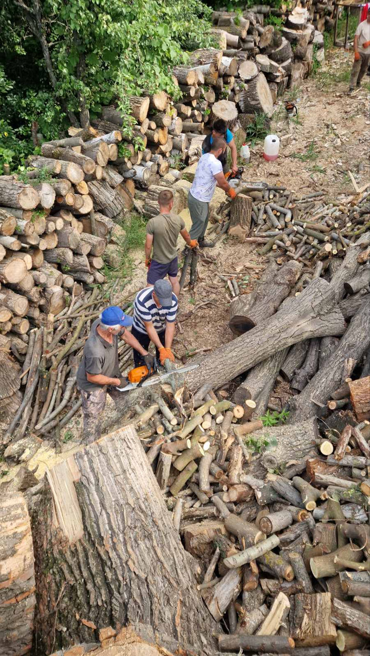 Servicii de curățare și întreținere a terenurilor foto 16