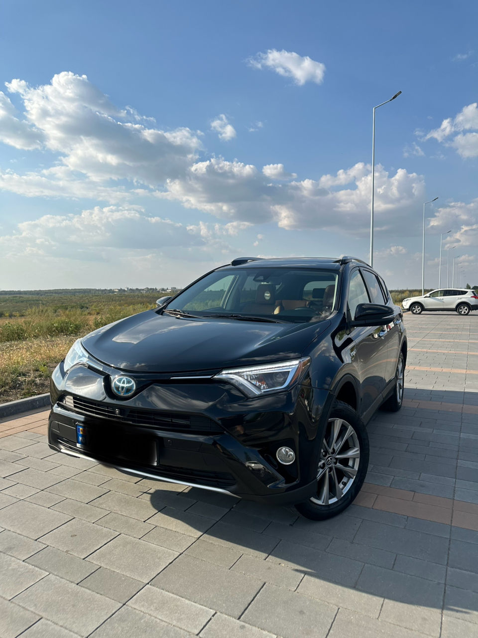 Toyota Rav 4 2016 г. с пробегом 198000 км, Гибрид, 18500 €