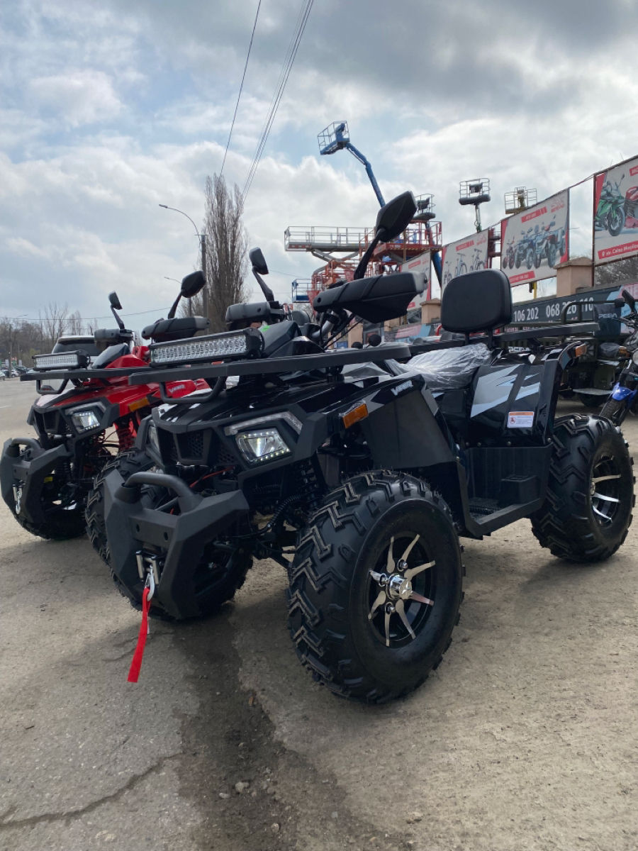 Viper 250 foto 10