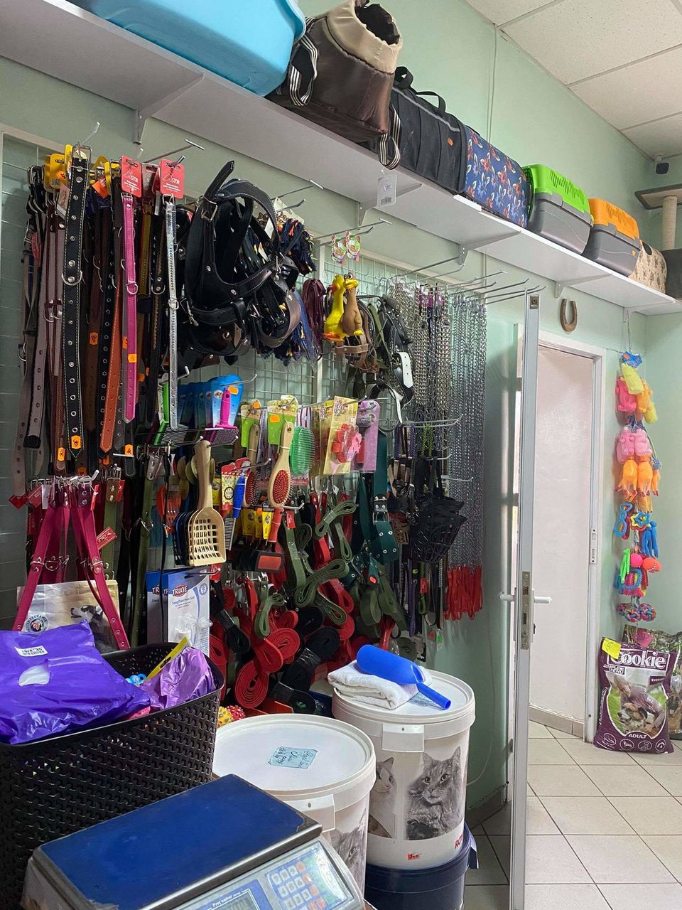 Ветеринарные услуги- Мунчешть 94