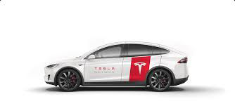 Tesla Service Soft Diagnostic Key foto 0