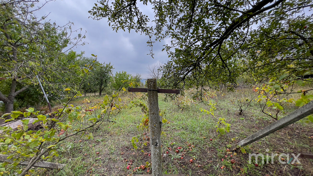 IP Vieru, Trușeni, Chișinău foto 6