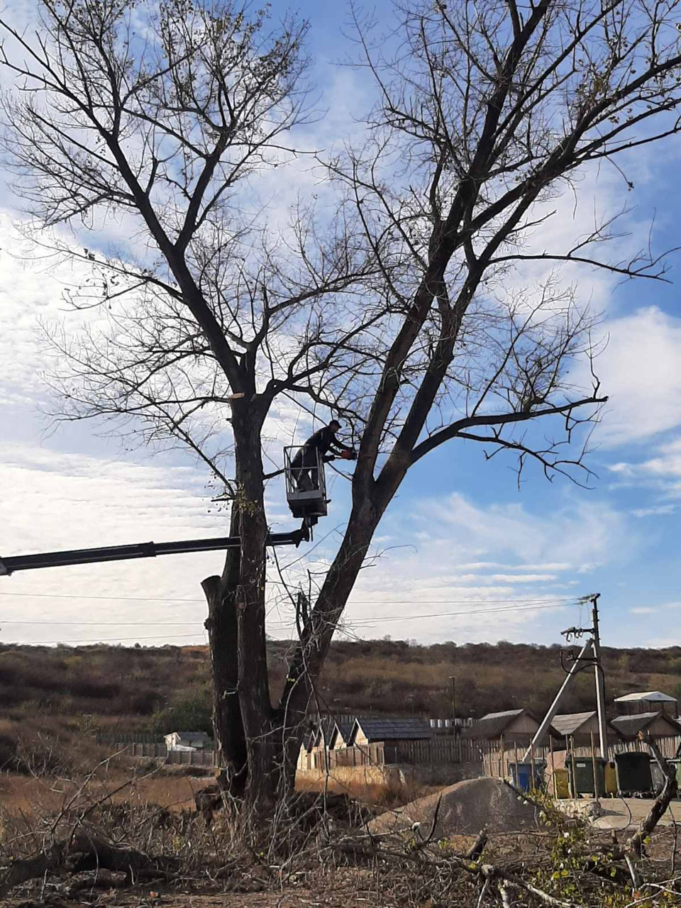 Tăierea copacilor! Toata Moldova foto 7