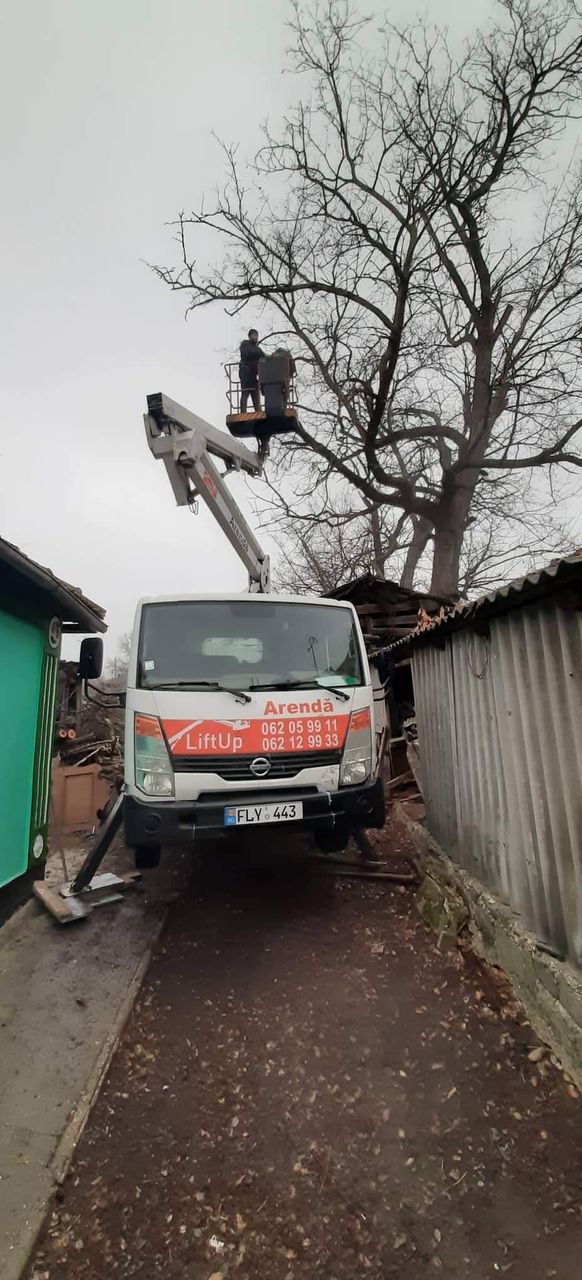 Taierea copacilor, curatarea copacilor, Masina Autoturn, Lucram in toata Moldova !!! foto 6