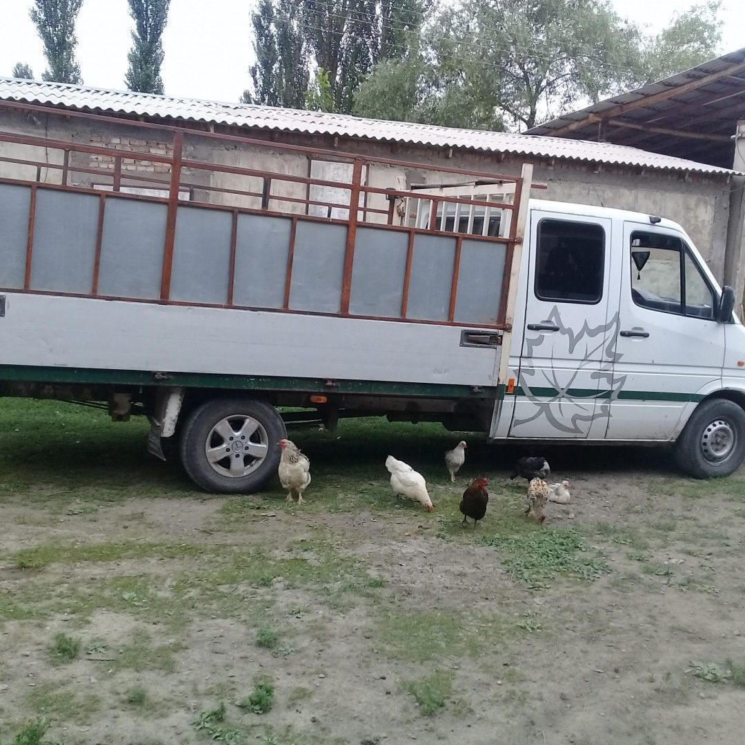 Transportarea bunurilor dumneavoastră rapid și in siguranță foto 6