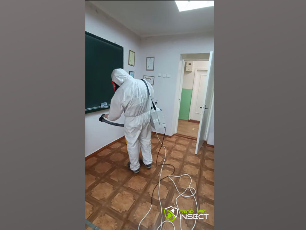 Дезинфекция уничтожение клопов тараканов блох foto 5