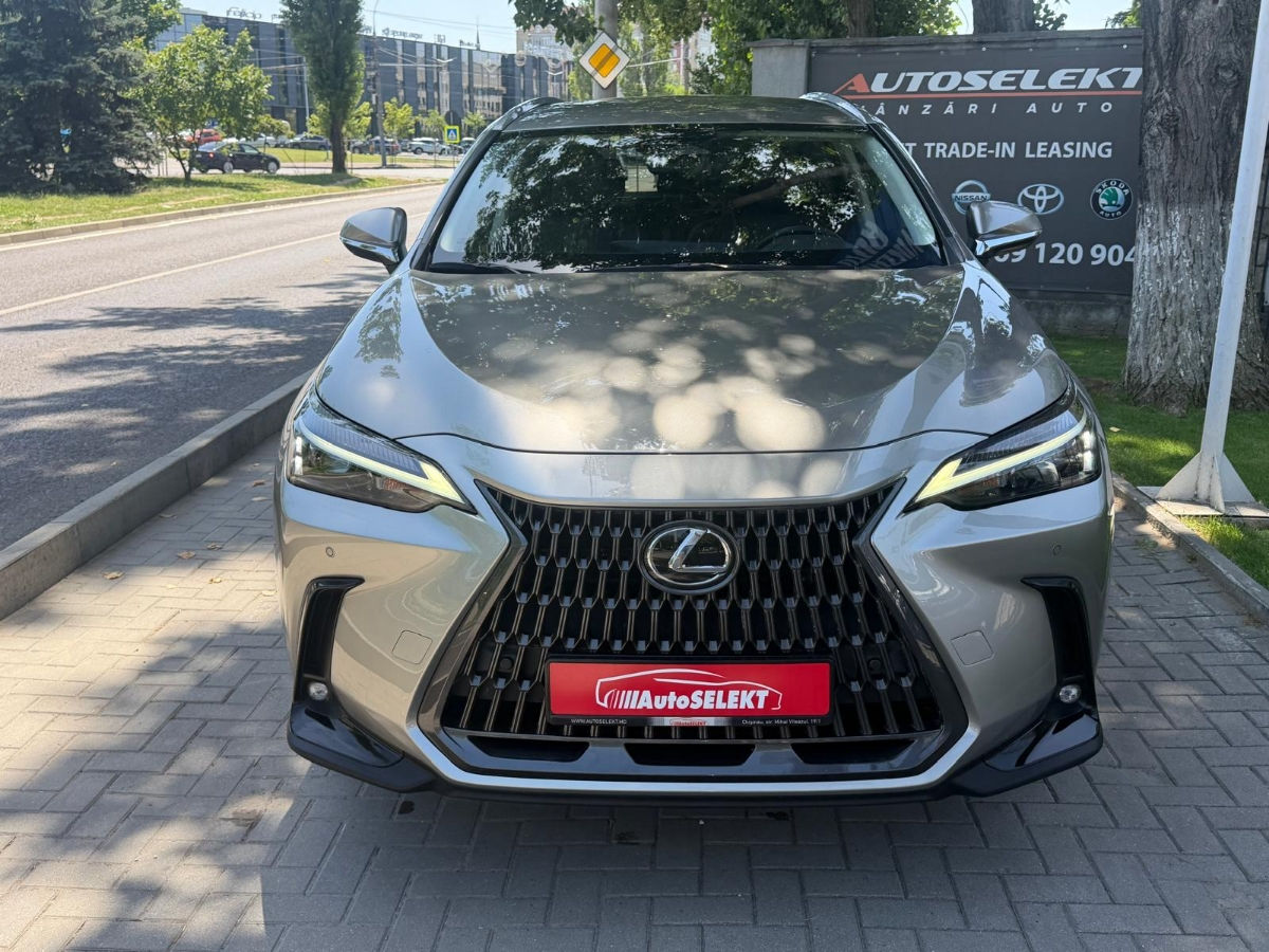 Lexus NX Series 2022 photo 2