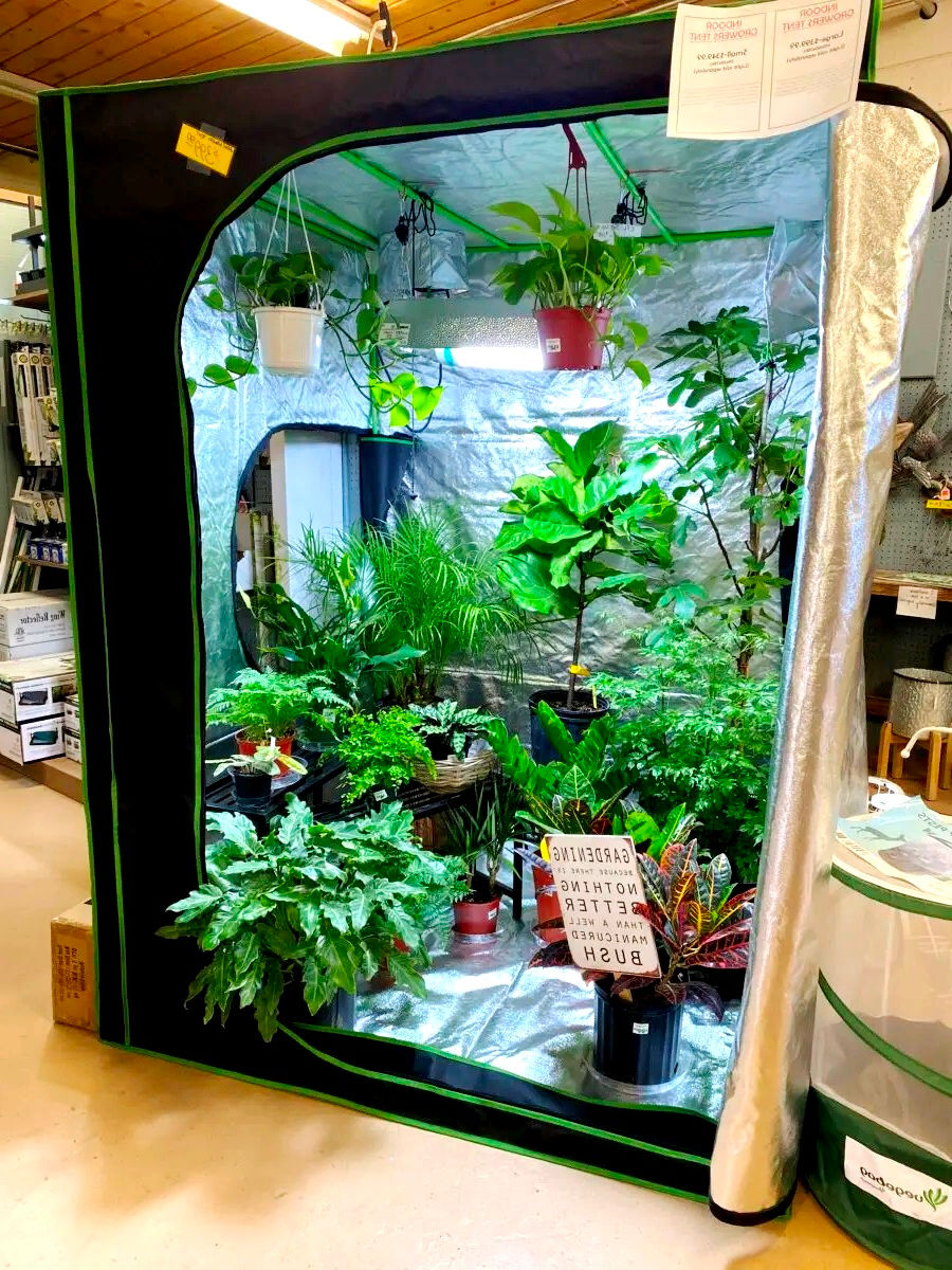 Mini sere pentru casa, GrowBox, Grow Tent, camera de crestere foto 5