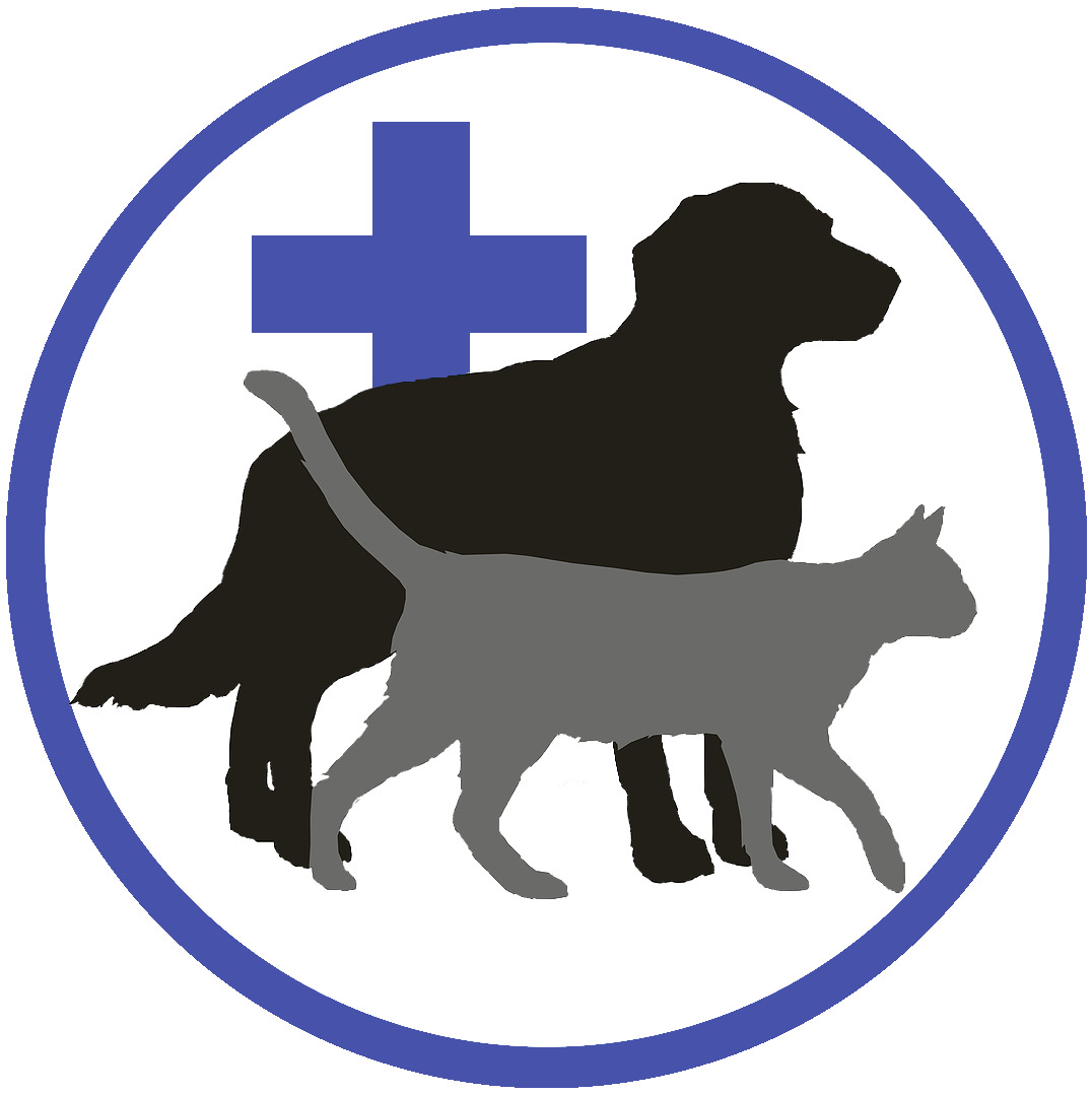 Servicii veterinare / ветеринарные услуги ветеринар