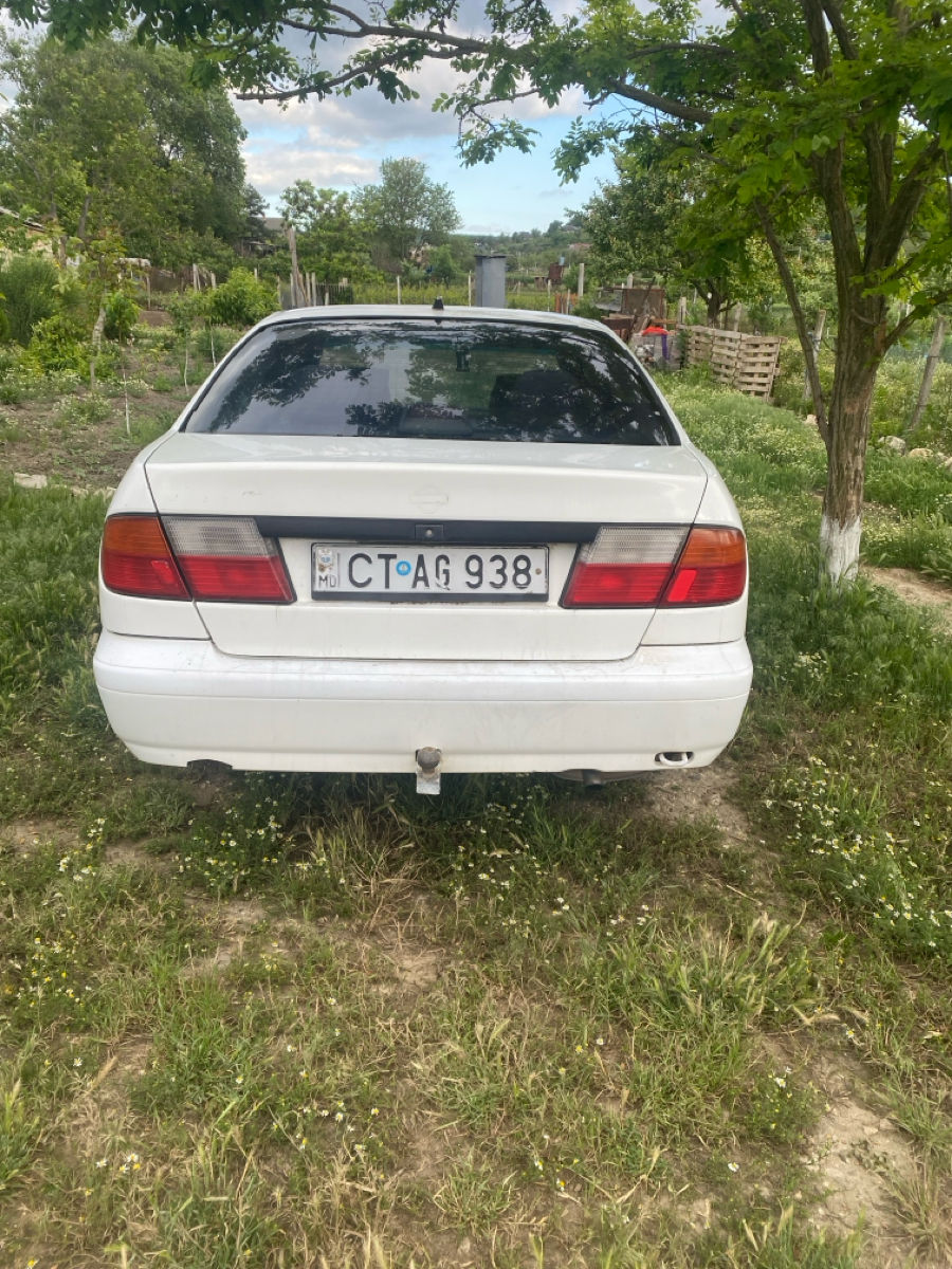 Nissan Primera foto 3