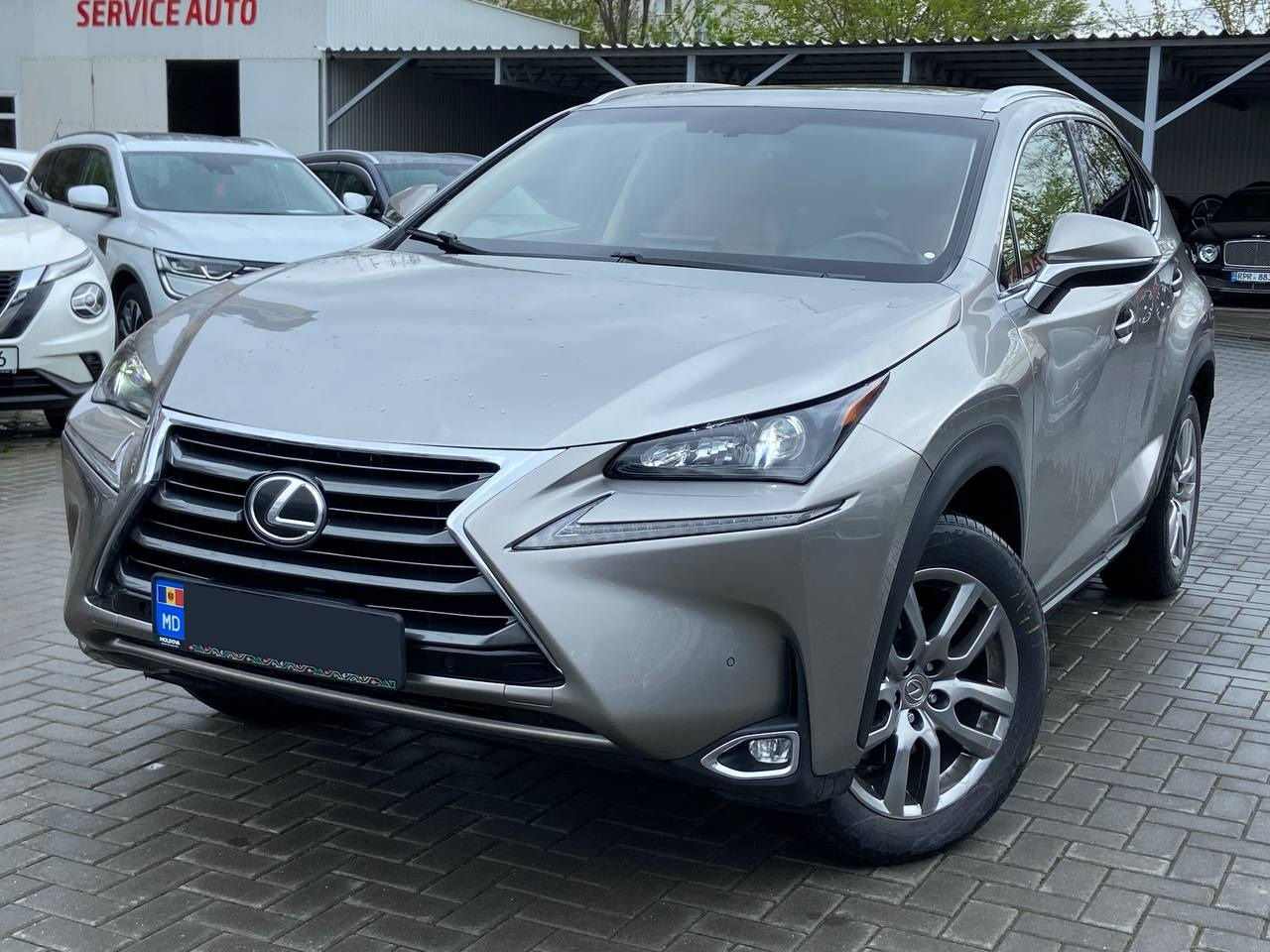 Lexus NX Series foto 1