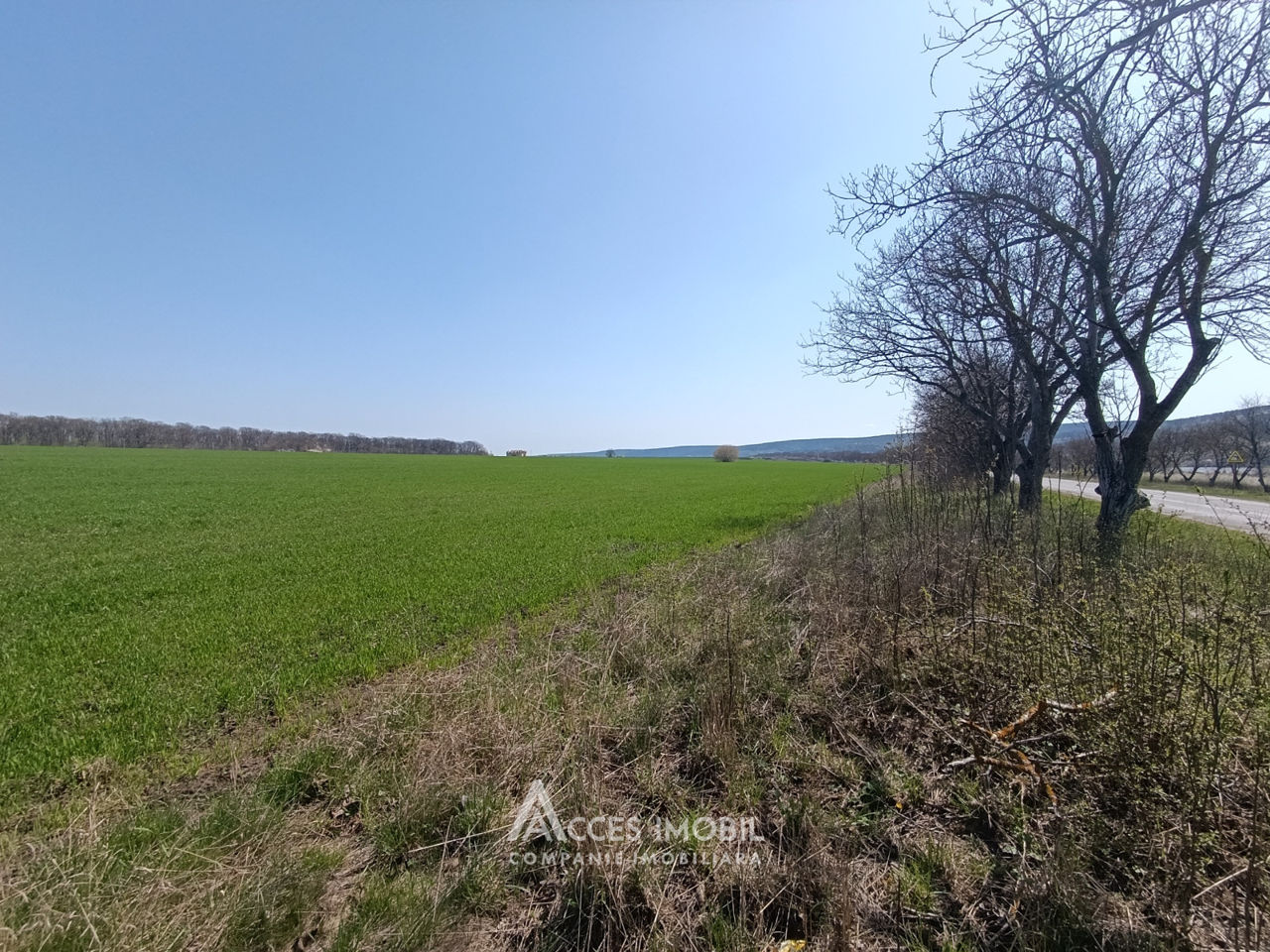Teren agricol, Ivancea, 270 ari