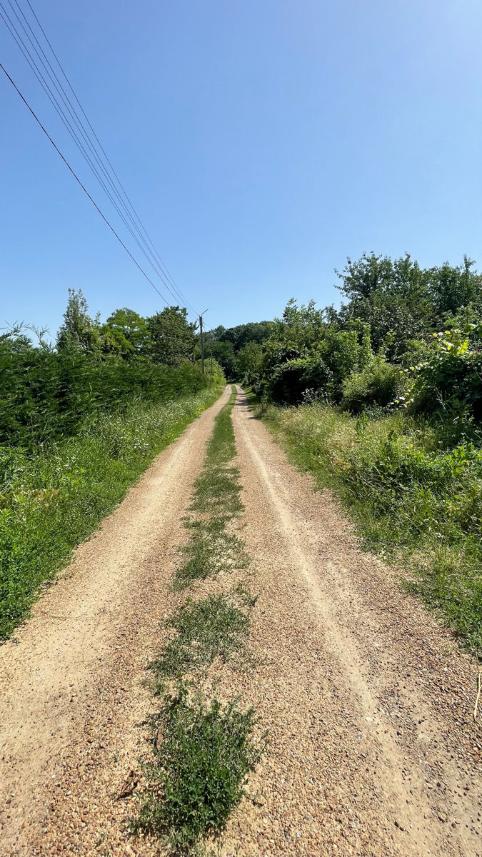 Schimb sau vând casă de vacanță în inima pădurii Hîrbovăț foto 5