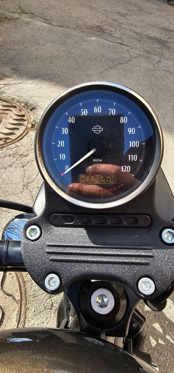 Harley - Davidson Sportster IRON 883 foto 3
