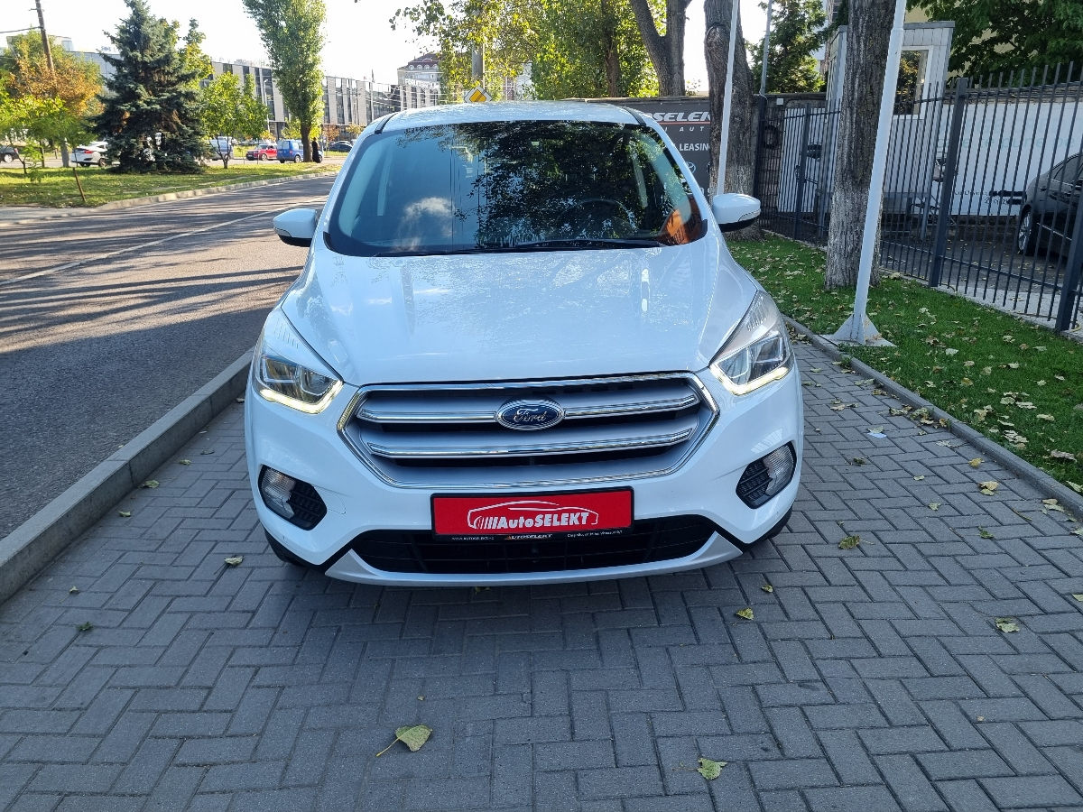 Ford Kuga 2019 photo 2