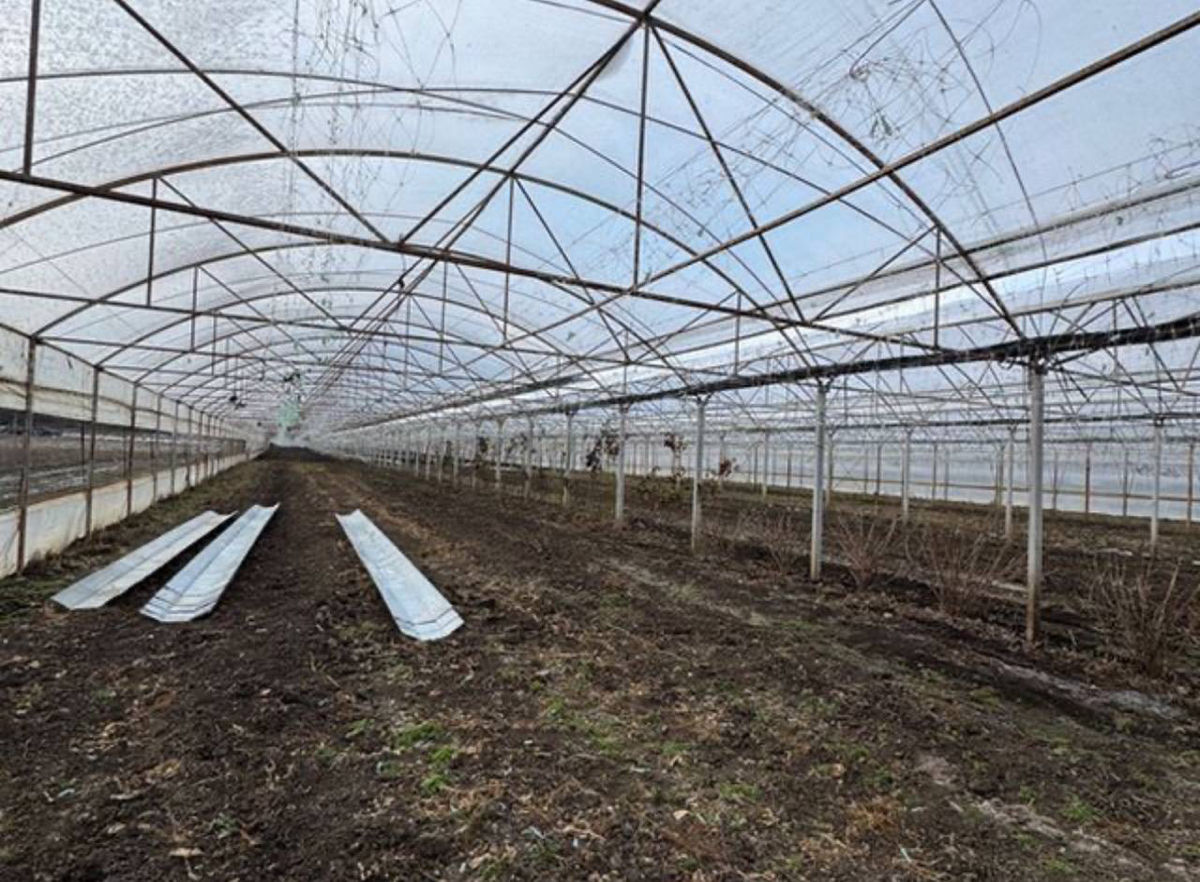 Satul Humulesti ! Teren 3,7 ha ( Gradina ), lingă pădure ! foto 8