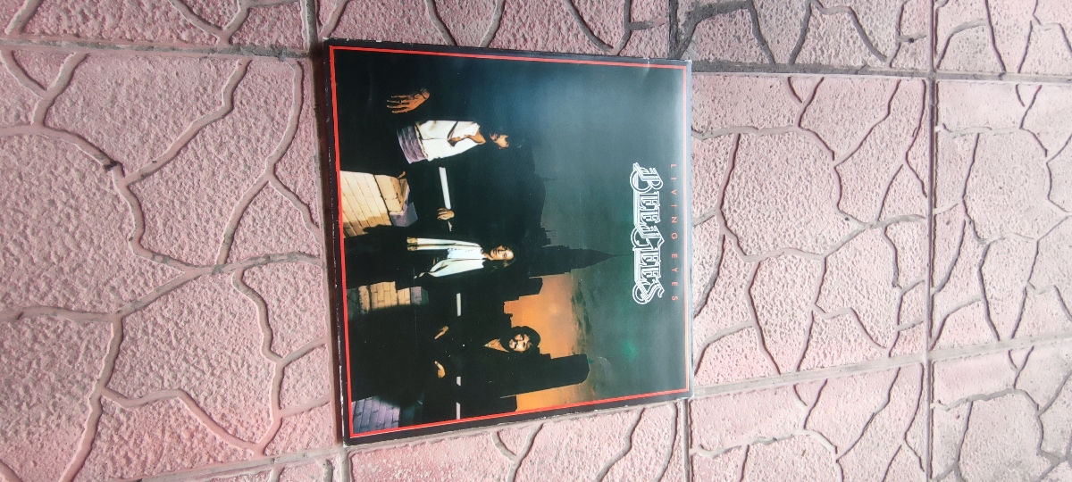 Пластинки.Часть 1. foto 2