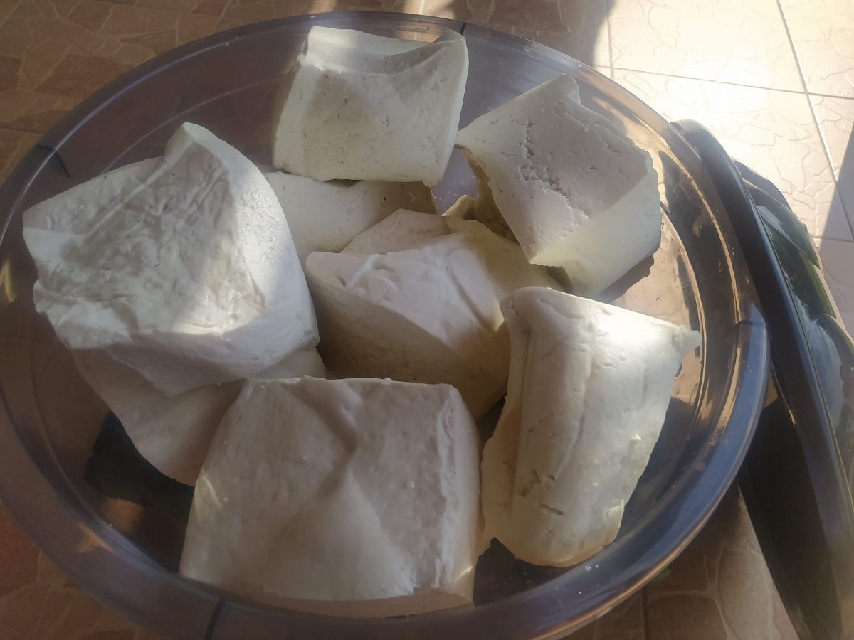 Продается овечья брынза