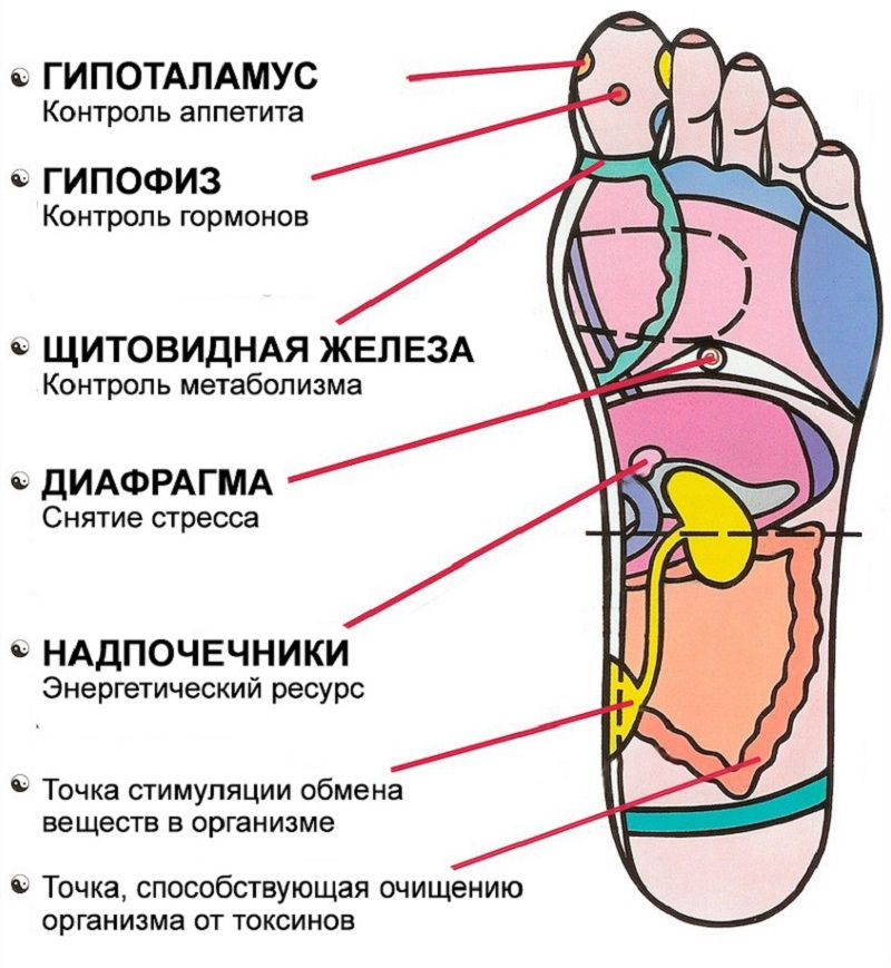 Тренажер акупунктурный. Йога. Спорт. Боевые Искусства. foto 3